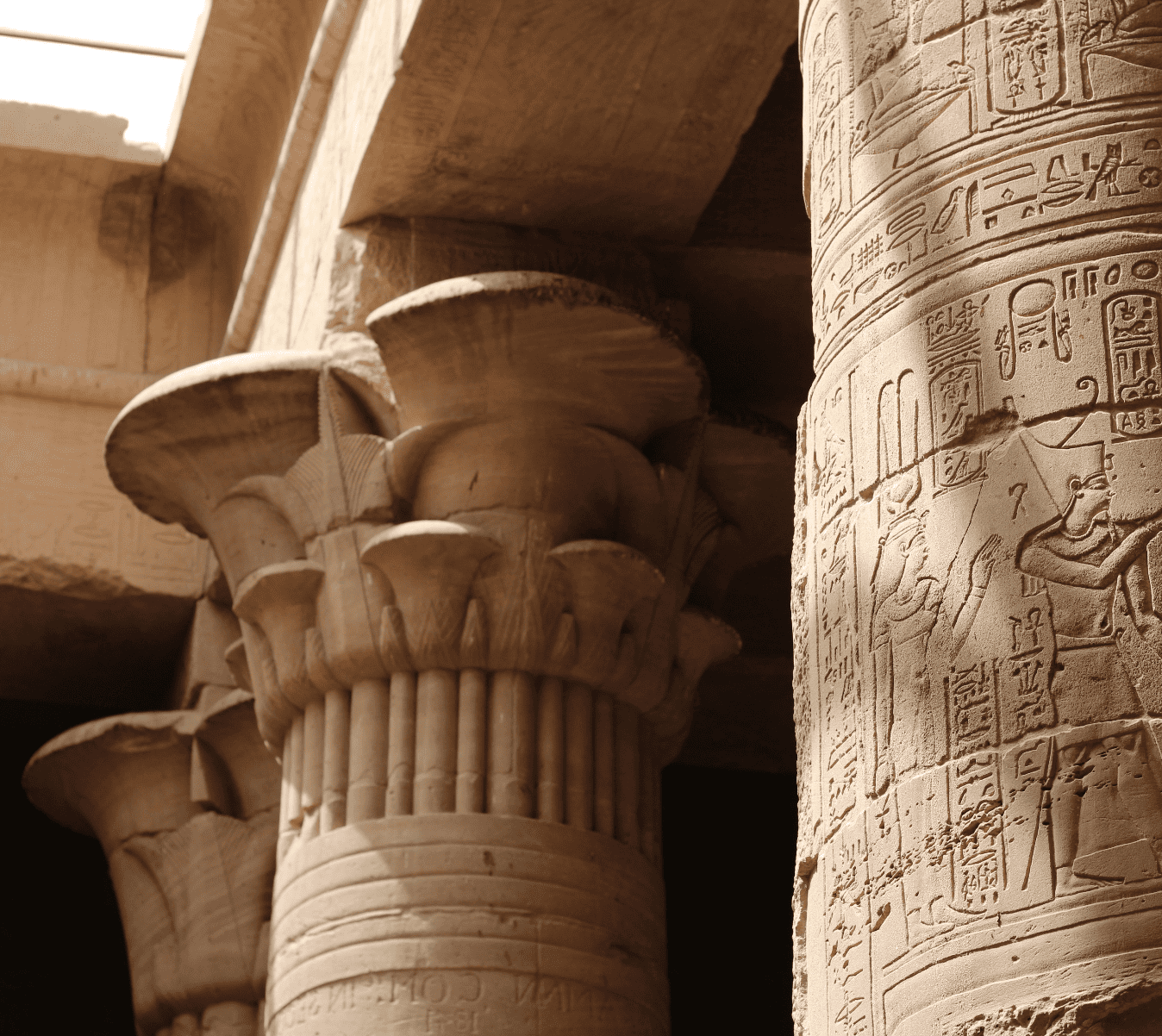Section Image